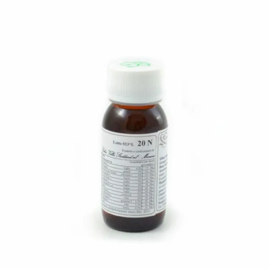 LVS 20N CARPINUS BETULUS COMP