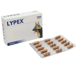 Lypex Integratore Animali Domestici 60 Capsule Digestione Sana