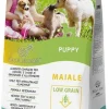 Marpet Aequilibriavet Low Grain Maiale Cibo Secco Per Cani Cuccioli Sacco 12 Kg