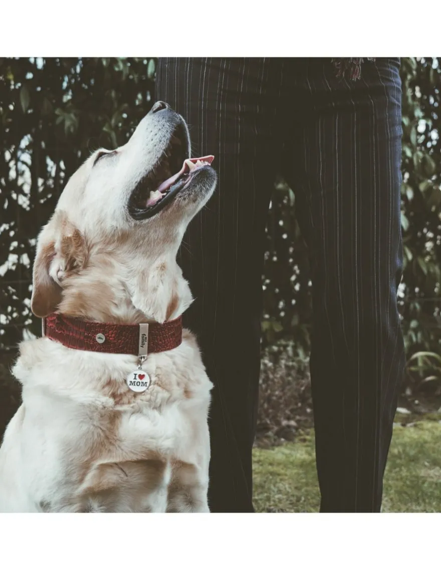 Medaglietta Per Cani E Gatti Personalizzata I Love Mom