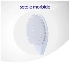 Meridol Spazzolino Morbido Protezione Gengive 2 Pezzi