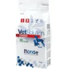 Monge VetSolution Cardiac Linea Veterinaria Cibo Secco Cani 2kg