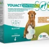 Msd Animal Health Youact Entero SOS Per Cani/Gatti 14 Bustine