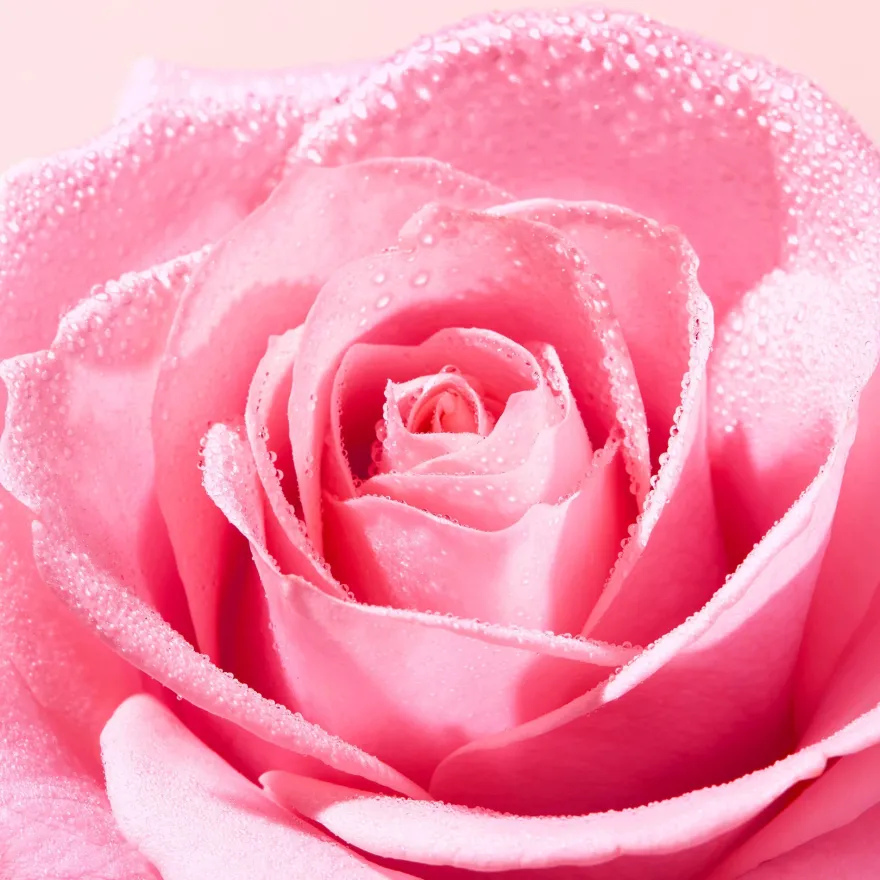 Nuxe Very Rose Tonico Spray Fresco 200ml