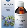 Olio di Borragine 100ml