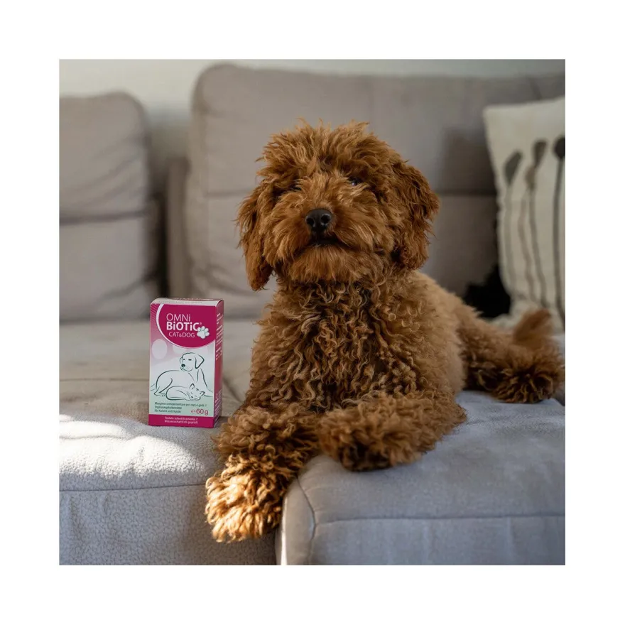 Omni Biotic Cat&Dog Mangime Complementare Per Cani e Gatti 60g