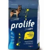 Prolife Dog Smart Chicken & Rice Cibo Secco Per Cani Adulti Taglia Media/Grande Sacco 12 Kg