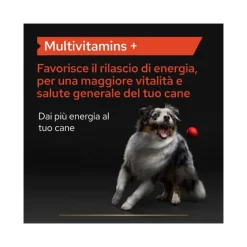 Purina Pro Plan Dog Supplement Multivitamins+ Alimento Complementare Per Cani 67g