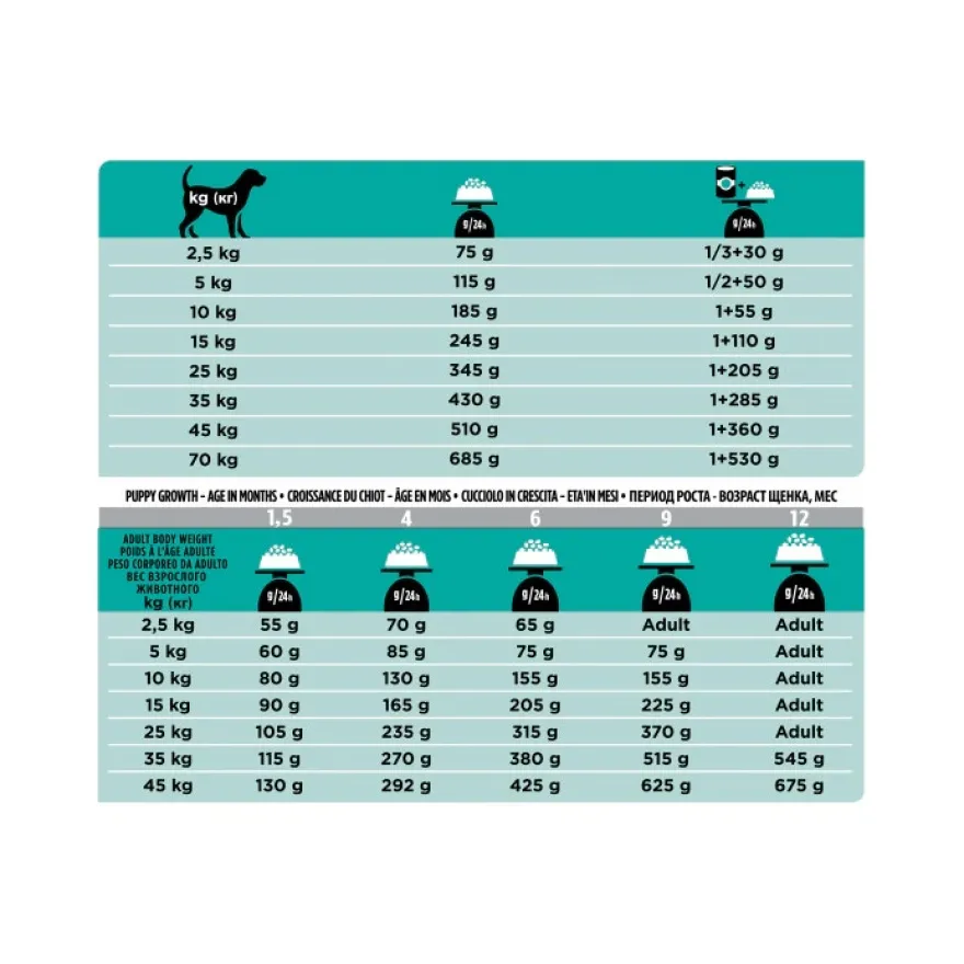 Purina Pro Plan Veterinary Diets Secco Cane EN Gastrointestinal Sacco 5kg