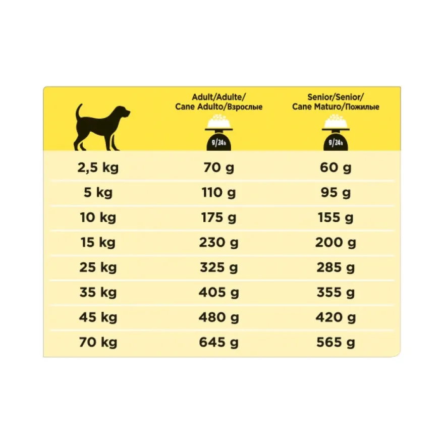 Purina Pro Plan Veterinary Diets Secco Cane NC Neurocare Sacco 12kg