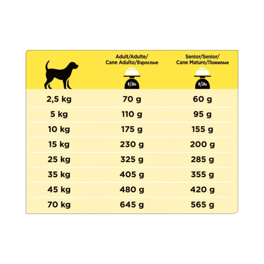 Purina Pro Plan Veterinary Diets Secco Cane NC Neurocare Sacco 3kg