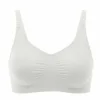 REGGISENO GRAVID/ALLAT BI S