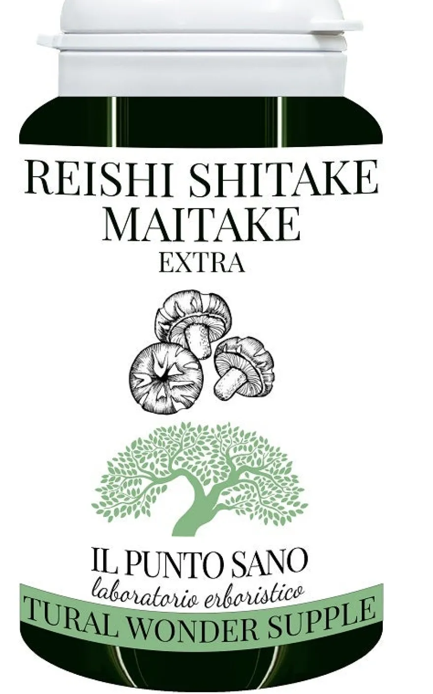 REISHI SHITAKE MAITAKE EXTRA