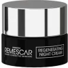 REMESCAR CREMA NOTTE RIGENER