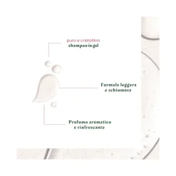 Rene Furterer Neopur Shampoo Antiforfora Grassa Equilibrante 150ml
