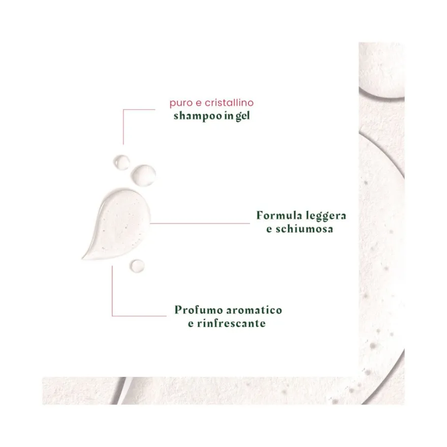 Rene Furterer Neopur Shampoo Antiforfora Grassa Equilibrante 150ml