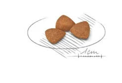 Royal Canin Crocchette Per Cani Adulti 12Anni+ Taglia Molto Piccola Sacco 0,5kg