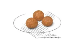 Royal Canin Crocchette Per Cani Adulti Molto Piccoli Sacco 500g
