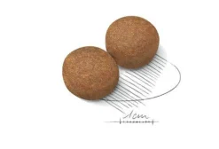 Royal Canin Crocchette Per Cani Adulti Taglia Grande Sacco 15kg