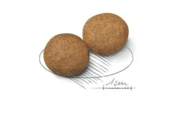 Royal Canin Crocchette Per Cani Adulti Taglia Media Sacco 4kg