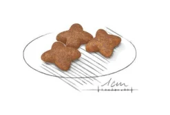 Royal Canin Crocchette Per Cani Adulti Taglia Mini Sacco 8kg