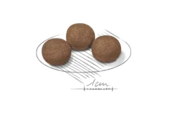 Royal Canin Crocchette Per Cuccioli Taglia Media Sacco 15kg