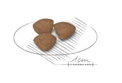Royal Canin Crocchette Per Cuccioli Taglia Mini Sacco 2kg
