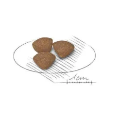 Royal Canin Crocchette Per Cuccioli Taglia Mini Sacco 4kg