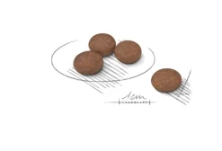 Royal Canin Digestive Care Crocchette Per Cani Mini Sacco 1kg