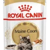 Royal Canin Maine Coon Fettine In Salsa 85g