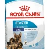 Royal Canin Starter Mother&Babydog Crocchette Per Cagne E Cuccioli Taglia Piccola Sacco 15Kg