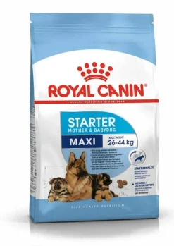 Royal Canin Starter Mother&Babydog Crocchette Per Cagne E Cuccioli Taglia Grande Sacco 4kg