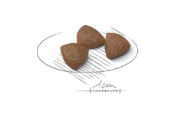 Royal Canin Starter Mother&Babydog Crocchette Per Cagne E Cuccioli Taglia Media Sacco 4kg