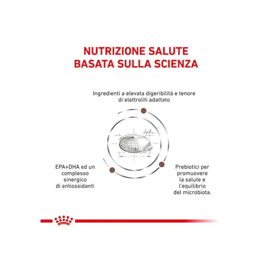 Royal Canin Veterinary Diet Gastrointestinal Cibo Secco Per Cani Adulti Sacco 2kg