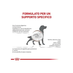 Royal Canin Veterinary Diet Gastrointestinal Cibo Secco Per Cani Adulti Sacco 2kg