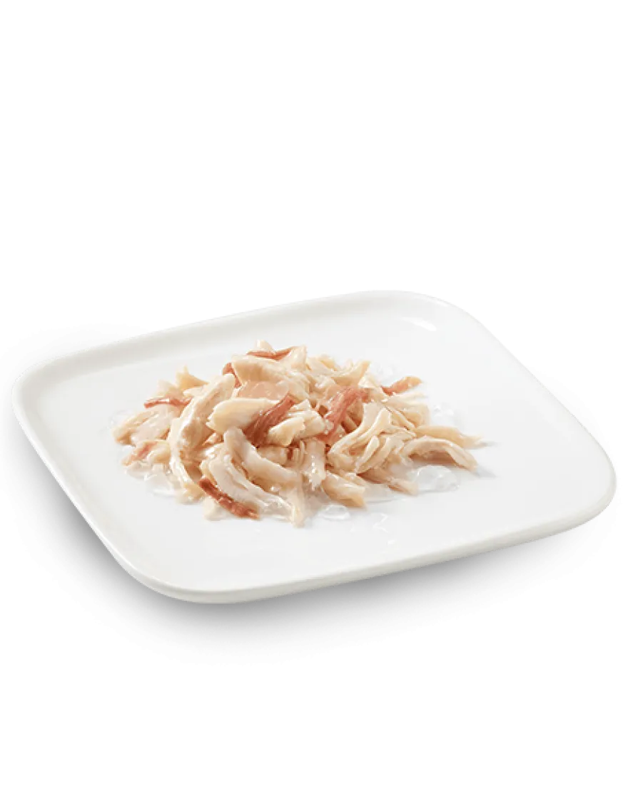 Schesir Pollo Con Manzo Cibo Umido Cani Adulti Lattina 150 g