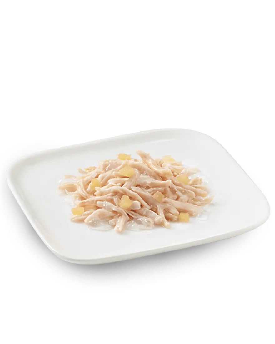 Schesir Pollo Con Mela Cibo Umido Cani Adulti Lattina 150 g