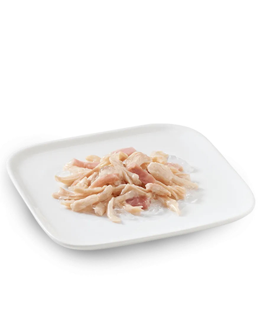 Schesir Pollo Con Prosciutto Cibo Umido Cani Adulti Lattina 150 g