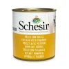 Schesir Pollo Con Zucca Cibo Umido Cani Adulti Lattina 285g