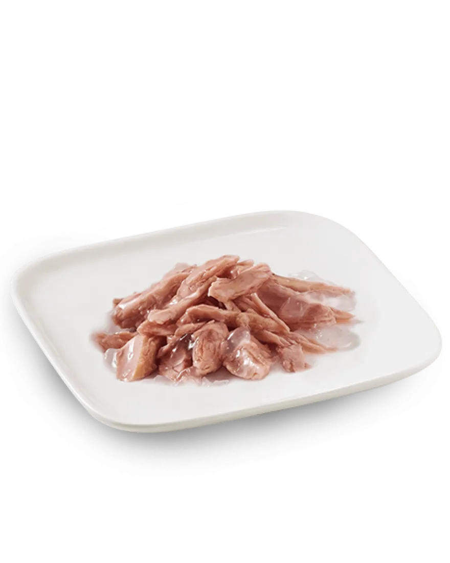 Schesir Tonnetto Cibo Umido Cani Adulti Lattina 150 g
