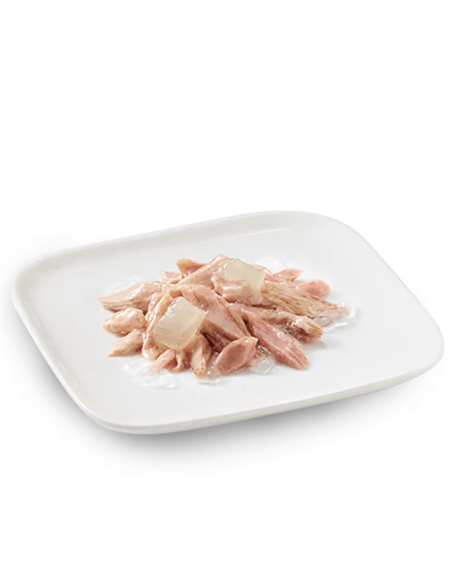 Schesir Tonnetto Con Aloe Cibo Umido Cani Cuccioli Lattina 150 g