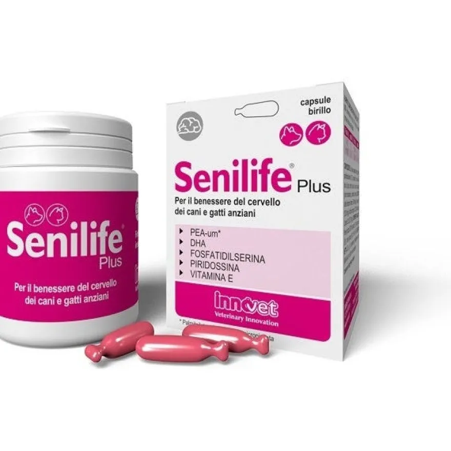 Senilife Plus Cani/Gatti Anziani 60 Capsule