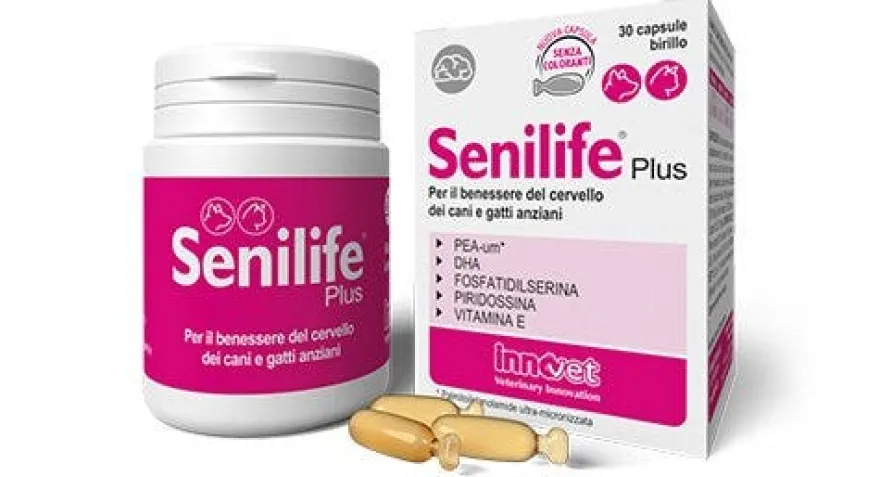 Senilife Plus Cani/Gatti Anziani 60 Capsule