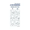 Soffisof Pannoloni A Mutandina Air Dry Maxi Plus Taglia L 15 Pezzi