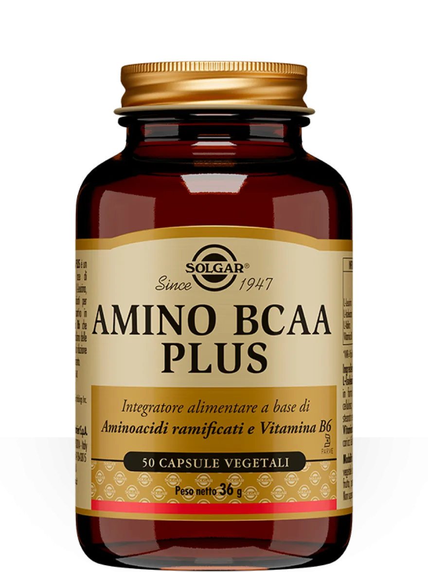 Solgar Amino BCAA Plus 50 Capsule