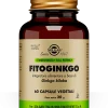 Solgar Fitoginkgo 60 Capsule Vegetali