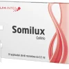 Somilux Collirio 10x0,5ml