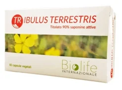TRIBULUS TERRESTRIS 60CPS