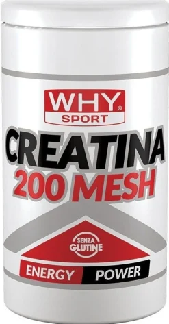 WHYSPORT CREATINA 200 MESH500G