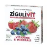 Zigulìvit Frutti Di Bosco 40 Confetti